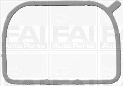 FAI AUTOPARTS tarpiklių rinkinys, įsiurbimo kolektorius IM2195